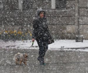 24.03.2020., Slavonski Brod - Gust snijeg nosen jakim naletima vjetra ne prestaje padati na brodskom podrucju. 
Photo: Ivica Galovic/PIXSELL