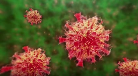 VIDEO: Mnogo lažnih Twitter poruka o koronavirusu