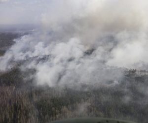 epa08372152 A handout photo made available by the Presidential press service shows a wildfire in Zhytomyr region in Ukraine, 19 April 2020. Wildfires in Zhytomyr region and the Chornobyl exclusion zone broke out on 04 April 2020. Ukraine's Interior Minister Avakov noted that the elimination of fires in the Chornobyl exclusion zone is still ongoing. Now all the causes of fires are being established. So far, rescuers and police are considering snowless winter and dry forest litter as the main course of the wildfires.  EPA/PRESIDENTIAL PRESS SERVICE / HANDOUT  HANDOUT EDITORIAL USE ONLY/NO SALES