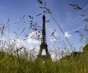 epa08436238 Long overgrown grass stands tall, as it was left unmowed during the 55 days of confinement, on the Champs de Mars near the Eiffel Tower in Paris, France, 21 May 2020.  EPA/IAN LANGSDON