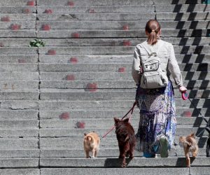 05.05.2020., Zagreb - Ne svakidasnji prizor uprilicila je ova dama kada se pojavila u centru grada u setnji sa pet psica istovremeno. Photo: Sanjin Strukic/PIXSELL