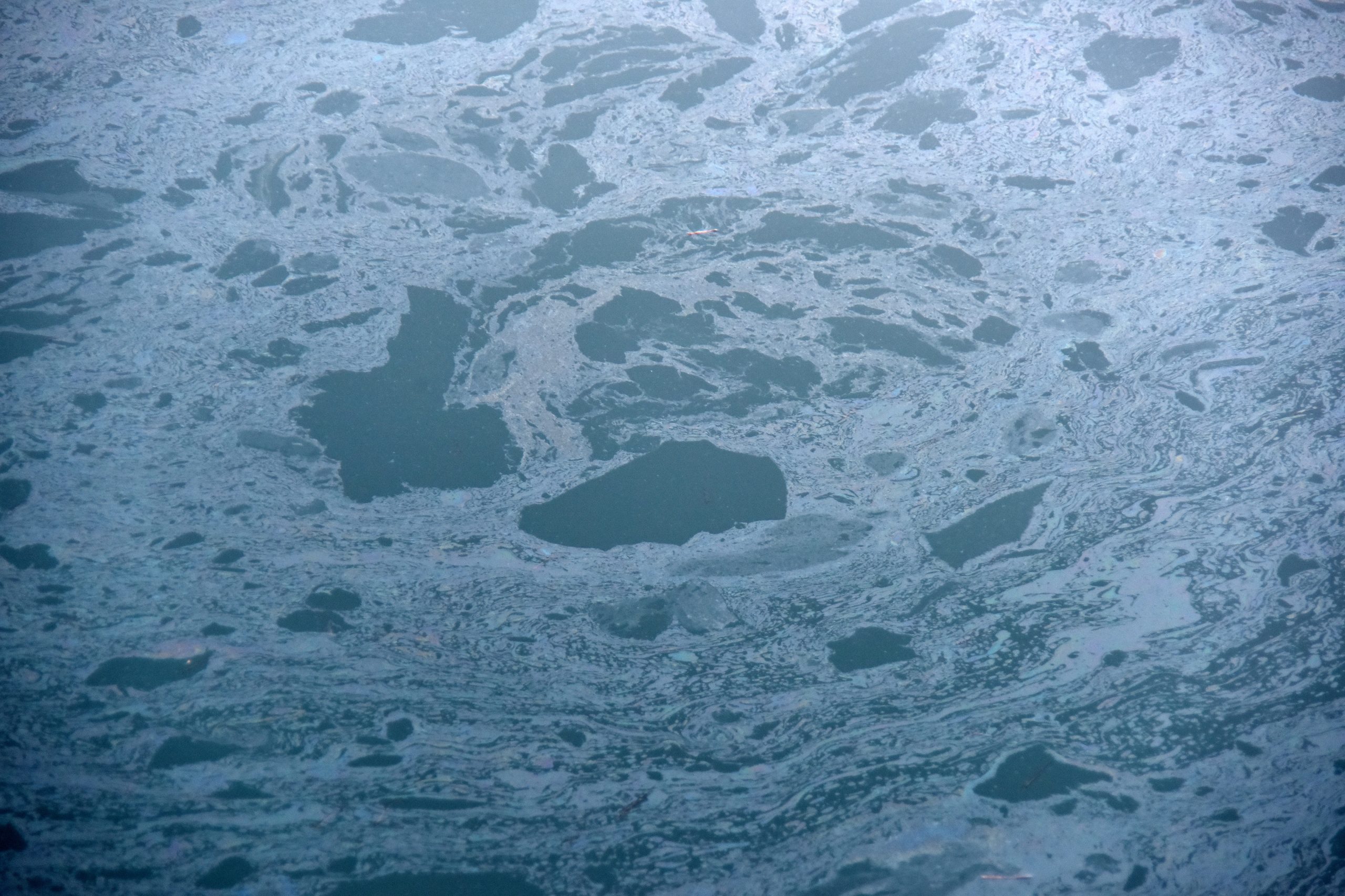 Pula: Masnoćom zagađeno more u marini 16.01.2019., Pula - U marini na povrsini mora pliva tanki sloj masnoce. 
Photo: Dusko Marusic/PIXSELL