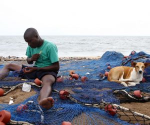 epa08472132 An Ivorian fisherman mends a fishing net while sitting next to a dog on a beach in Abidjan, Ivory Coast, 04 June 2020 (issued 08 June 2020).  Every year, World Oceans Day is celebrated on 08 June. The initiative, which was launched on occasion of the 1992 Earth Summit held in Rio de Janeiro (Brazil), aims to raise awareness about the crucial role oceans play in sustaining life on the planet and to promote different actions to protect them as they suffer from increasing anthropogenic pollution, which has a highly-destructive impact on marine ecosystems. This year, the theme of World Oceans Day is 'Innovation for a Sustainable Ocean.'  EPA/LEGNAN KOULA