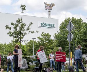 20 June 2020, North Rhine-Westphalia, Rheda-Wiedenbrueck: Animal welfare activists demonstrate in front of the premises of the Toennies meat factory, which had to halt operations after hundreds of employees at the family owned business had contracted coronavirus. Photo: David Inderlied/dpa