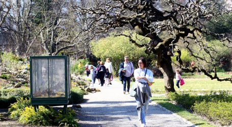 Botanički vrt Kew Gardens otvoren za javnost