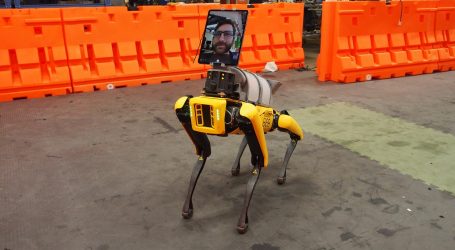 Četveronožni roboti će uskoro moći hodati i na uskim površinama