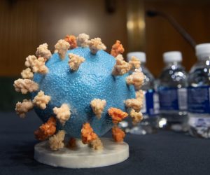 epa08522798 A model of COVID-19, known as coronavirus, is seen ahead of a US Senate Appropriations subcommittee hearing on the plan to research, manufacture and distribute a coronavirus vaccine, known as Operation Warp Speed, on Capitol Hill in Washington, DC, USA, 02 July 2020.  EPA/SAUL LOEB / POOL