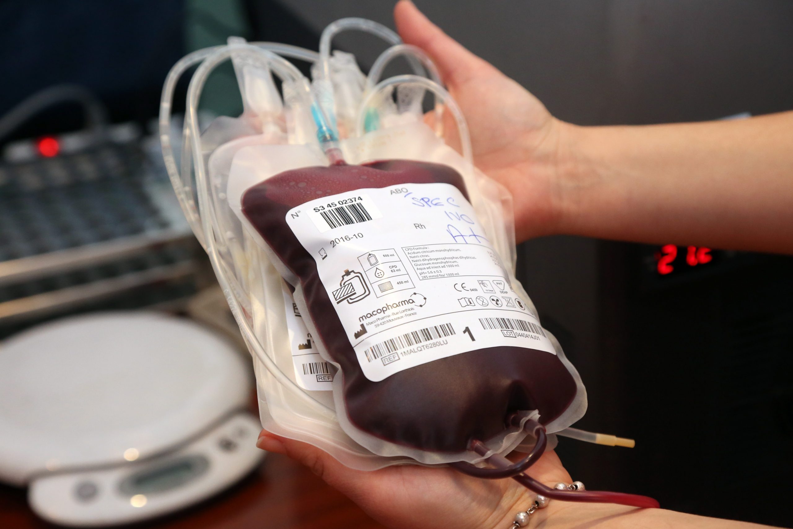 09.03.2015., Sibenik - Svakog drugog tjedna u mjesecu termin je dobrovoljnog darivanja krvi u Sibensko- kninskoj zupaniji. U Crvenom krizu zadovoljni su odazivom od preko 50 darivatelja.
Photo: Dusko Jaramaz/PIXSELL