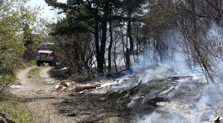 Šumski požari u Rusiji i francuskoj regiji Gironde