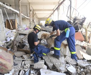epa08589105 Members of German Federal Agency for Technical Relief (THW) use rescue dogs during the search for bodies and survivors amid the rubble three days after explosions that hit Beirut port, in Beirut, Lebanon, 07 August 2020. According to the Lebanese Health Ministry, at least 137 people were killed, and more than 5,000 injured in the blast believed to have been caused by an estimated 2,750 tons of ammonium nitrate stored in a warehouse. The explosion and its shockwave on 04 August 2020 devastated the port area.  EPA/WAEL HAMZEH