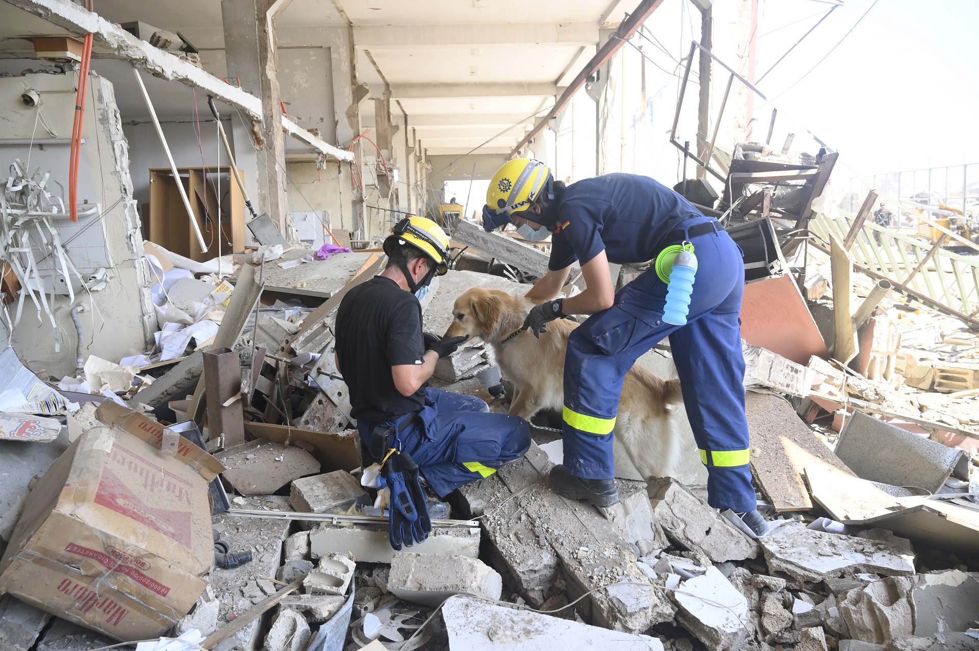 epa08589105 Members of German Federal Agency for Technical Relief (THW) use rescue dogs during the search for bodies and survivors amid the rubble three days after explosions that hit Beirut port, in Beirut, Lebanon, 07 August 2020. According to the Lebanese Health Ministry, at least 137 people were killed, and more than 5,000 injured in the blast believed to have been caused by an estimated 2,750 tons of ammonium nitrate stored in a warehouse. The explosion and its shockwave on 04 August 2020 devastated the port area.  EPA/WAEL HAMZEH