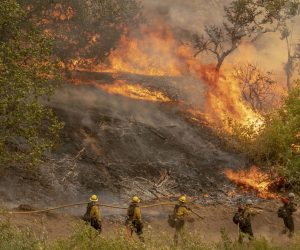 epa08653397 The El Dorado Fire burns a hillside near Yucaipa in the San Bernardino National Forest, California, USA, 07 September 2020.  EPA/KYLE GRILLOT
