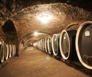 30. 10. 2008., Kutjevo - Kutjevacko vinogorje smjesteno je na podrucju Pozesko-slavonske zupanije i zaprema obodne dijelove Pozeske kotline. Najbolji vinogradarski polozaji u kutjevackom vinogorju su Vinkomir, Hrnjevac i Vetovo. Od grozdja uzgajaju se pretezno bijele vinske sorte, a medju njima je na prvom mjestu grasevina. Uz nju su rajonizacijom vinogradarstva preporucene sorte jos i pinot bijeli i sivi, chardonnay, traminac, rajnski rizling, rizvanac, sauvignon te plamenka bijela i crvena. Kutjevo i kutjevacka vina, odnjegovana u drevnom cistercitskom podrumu izgradjenom 1232. godine, jedan su od simbola hrvatske kontinentalne vinske kulture. Sam podrum s dvorcem i crkvom jedinstveni je povijesni kompleks.    
Photo: Robert Anic/24sata