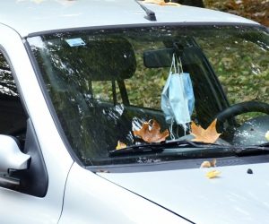 03.11.2020., Sisak - S drveca pada lisce na parkirane automobile. 
Photo: Nikola Cutuk/PIXSELL