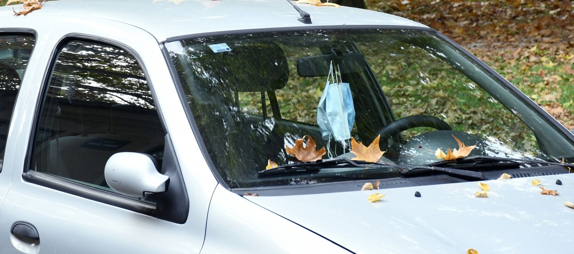 03.11.2020., Sisak - S drveca pada lisce na parkirane automobile. 
Photo: Nikola Cutuk/PIXSELL