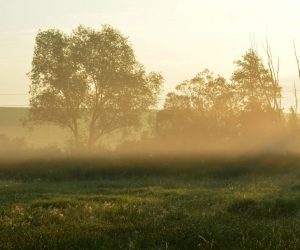 16.06.2017., Garesnica, Veliki Pasijan - Izmaglica je ljetna ranojutarnja vremenska pojava. 
Photo: Damir Spehar/PIXSELL