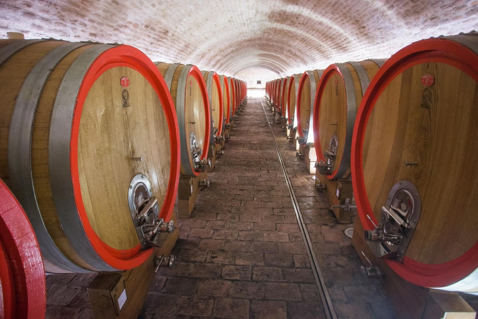 Vinarija Belje i njen suvremeni pogon u Kneževim Vinogradima  22.01.2019., Knezevi vinogradi - Vinarija Belje je jedna od najsuvremenijih vinarija u regiji smjestena je u centru vinograda cime je omogucen brzi transport grozdja tijekom berbe sa svih vinogradarskih lokacija. S ukupnim kapacitetom 8 milijuna litara vina smjestenih u gotovo 250 inox spremnika. Stara zgrada i stari podrum vinarije Belje gdje se vino cuva u drvenim bacvama. Photo: Davor Javorovic/PIXSELL