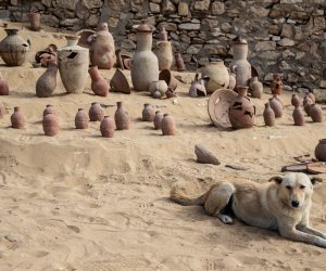 epa08943328 A dog sitting in front of the newly discovered pottery at funerary temple of Queen Nearit, the wife of King Teti  in the Saqqara archaeological site next to the Pyramid of King Teti in Giza, Egypt, 17 January 2021. It was announced on 16 January 2021 that the  Zahi Hawass Center at Bibliotheca Alexandrina and the Ministry of Antiquities have discovered the Funerary temple of Queen Naerit along with other important discoveries that will help Egyptologists better understand the Old and New Kingdoms of Dynastic Egypt.  EPA/Mohamed Hossam