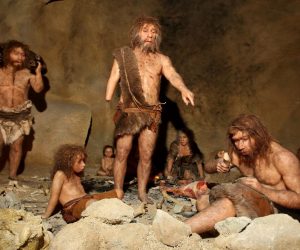 23.02.2010., Krapina - Uredjenje i zavrsne pripreme za otvorenje Muzeja krapinskih neandertalaca. 
Photo: Boris Scitar/PIXSELL