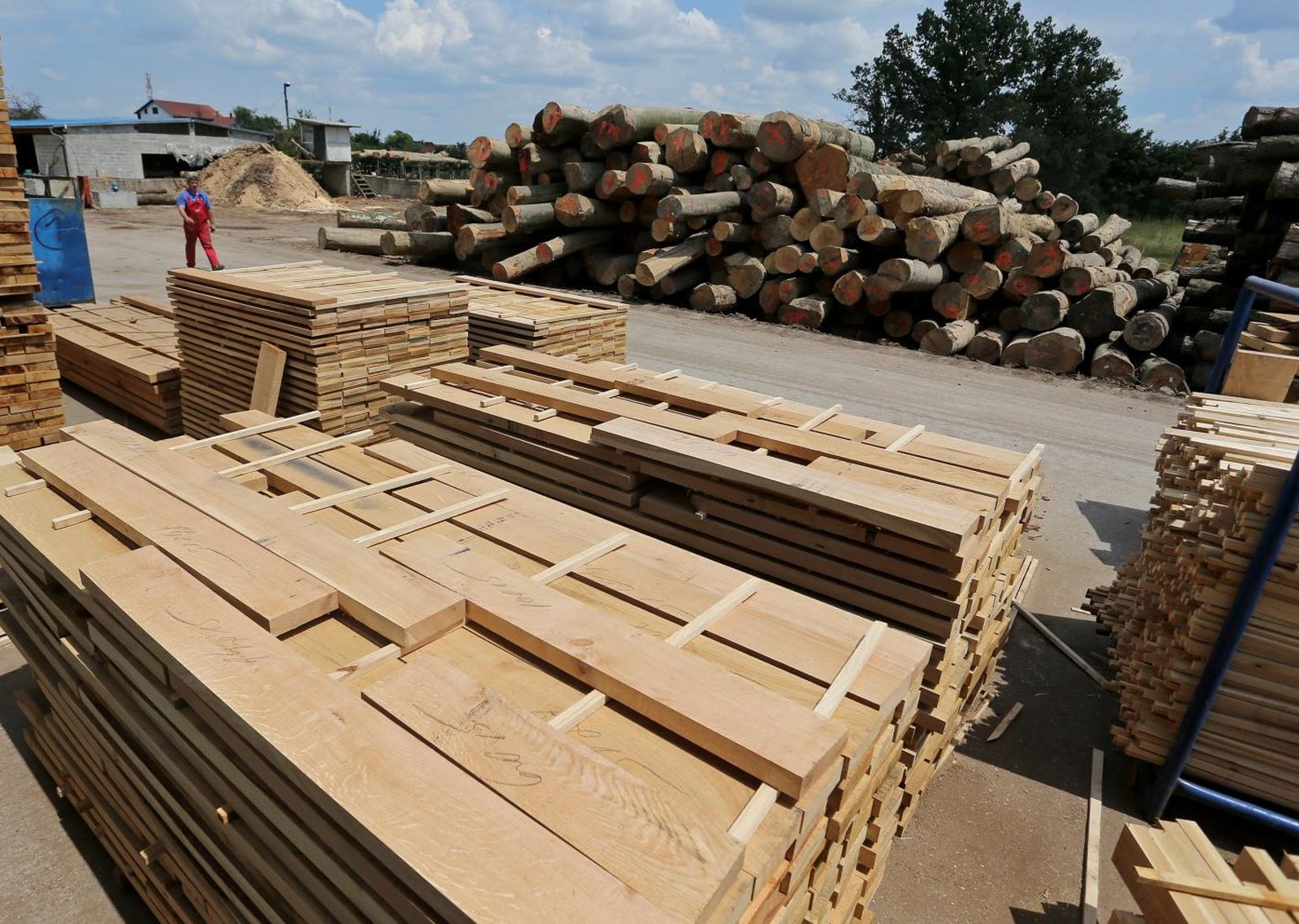 14.06.2013., Sesvete - Drvna industrija Bohor. Photo: Igor Kralj/PIXSELL