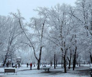 31.01.2021., Zagreb -Snijegom pokriven park u gajnicama.
Photo: Emica Elvedji/PIXSELL