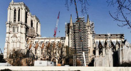 Rekonstrukcija prema originalnim nacrtima: Za obnovu Notre Dame posječena četiri hrasta stara dvjesto godina