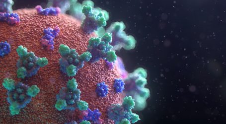 Nova studija: Prehlada štiti od koronavirusa