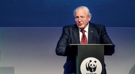 FELJTON: Vizija budućnosti Sir Davida Attenborougha