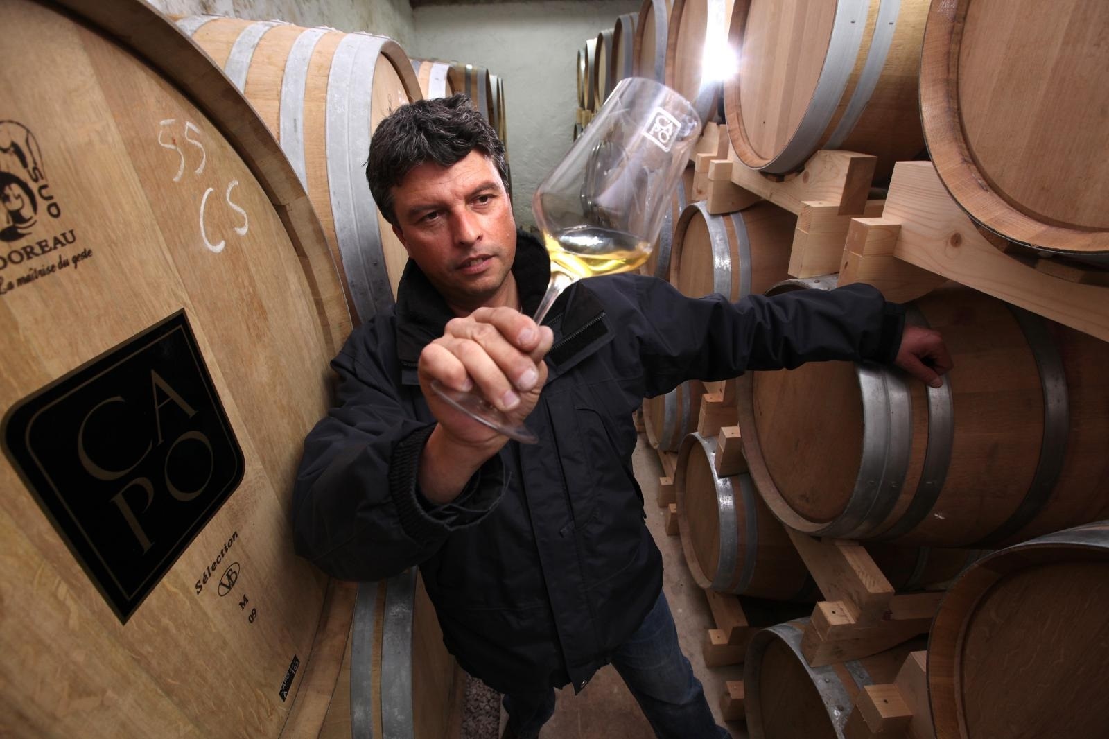 24.03.2011. Istra - Brtonigla 
Vinarija CAPO , upravitelj vinarije Elvis Visintin.
Photo: Robert Anic/PIXSELL