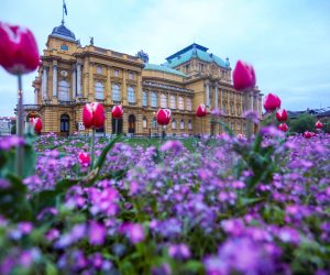 12.4.2021., Zagreb - Cvijece koje ukrasava okolis Hrvatskog narodnog kazalista.
Photo: Marin Tironi/PIXSELL