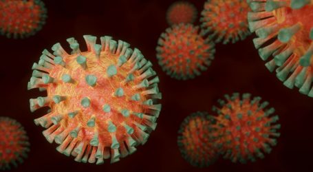 Imunolog: “Pandemija bi mogla trajati još par godina, onda će prijeći u endemiju”