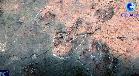 U kineskom okrugu Shanghang otkriveni novi otisci dinosaura