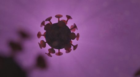 Istraživanje: Brazilska P1 varijanta koronavirusa mutira, može postati opasnija