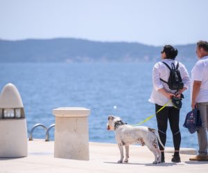 03.05.2021., Zadar - Iako su temperature tek pocele dosezati one proljetne, danas je na rivi vladala ljetna atmosfera. 
Photo: Dino Stanin/PIXSELL