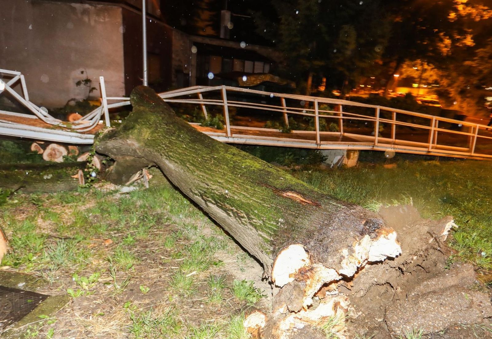 27.5.2021., Zagreb - Jak vjetar srusio je stablo na invalidski prilaz stambene zgrade u Studentskom naselju. Photo:Marin Tironi/PIXSELL