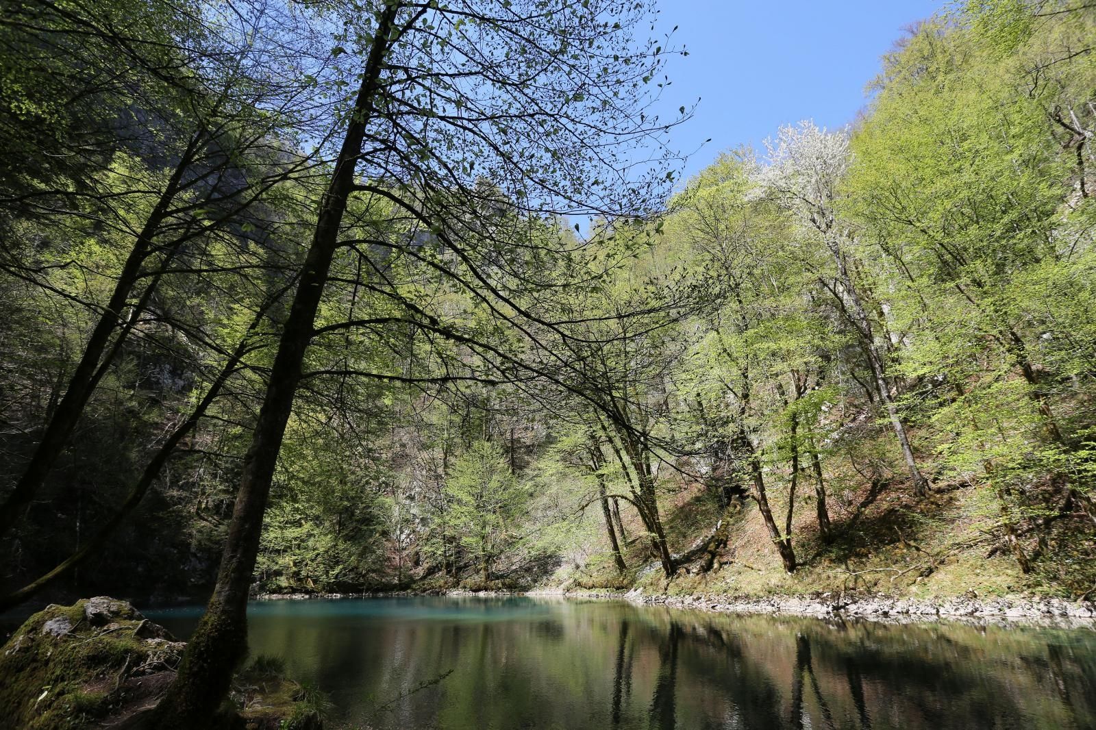 17.04.2020., Crni lug - Izvor rijeke Kupe u Nacionalnom parku Risnjak. ILustracije
Photo: Goran Kovacic/PIXSELL
