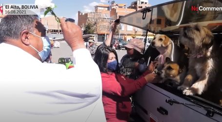 Na Dan Svetog Roka u Boliviji blagoslovljeni kućni ljubimci, smatra se njihovim zaštitnikom