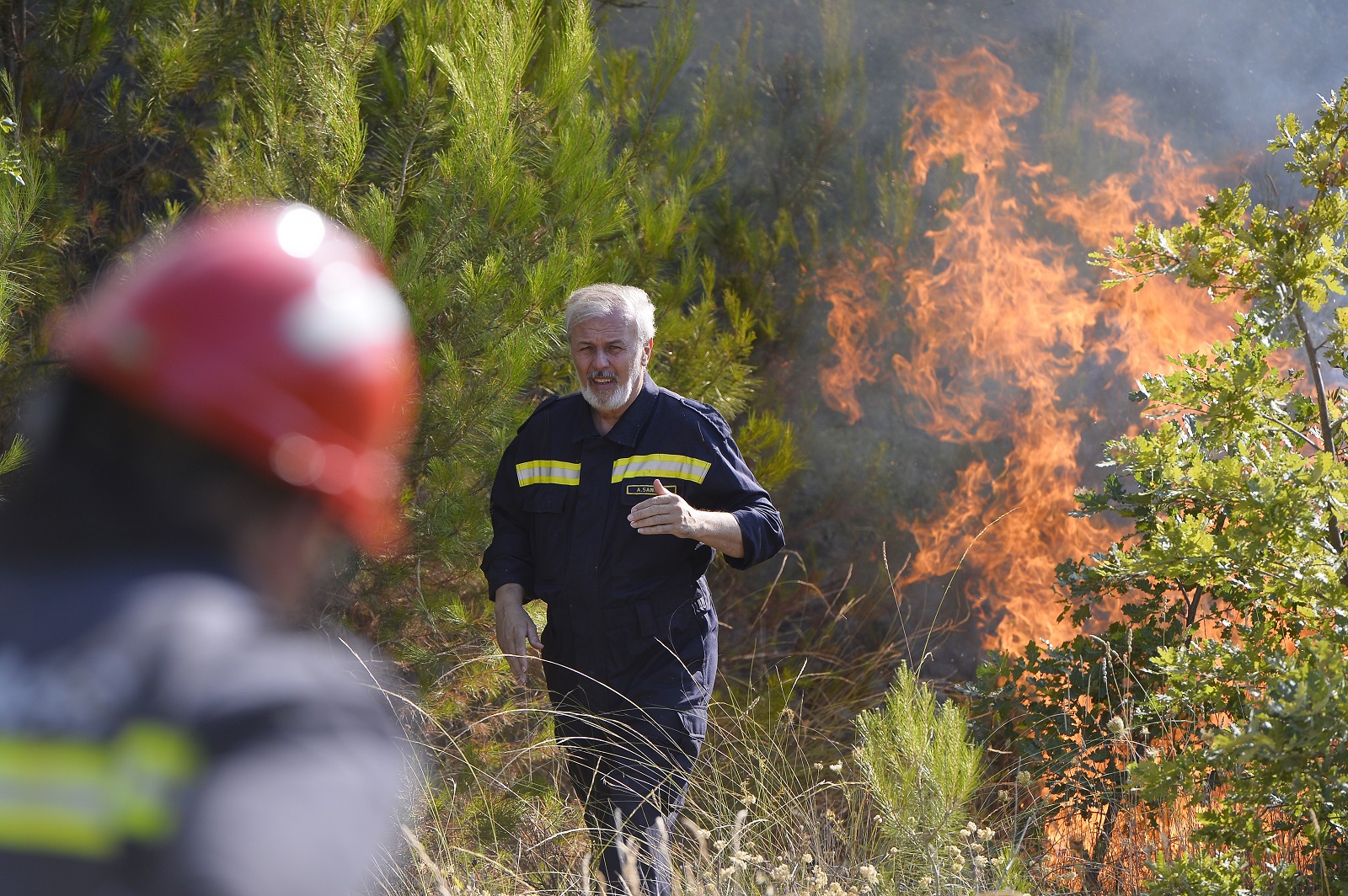 Trogir, 02.08.2021. - Oko 11 sati izbio je požar na podrucju Segeta Gornjeg kod Trogira. Na slici Ante Sanader. foto HINA/ Mario STRMOTIC/ ml