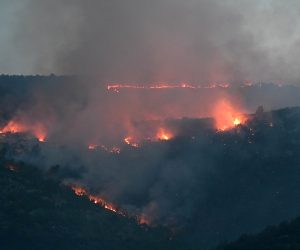 Trogir, 03.08.2021. - Požar kod Trogira