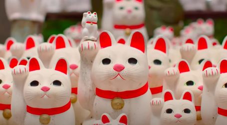 Mačke su u Japanu omiljene životinje, poznati suvenir je sretna mačka makineko