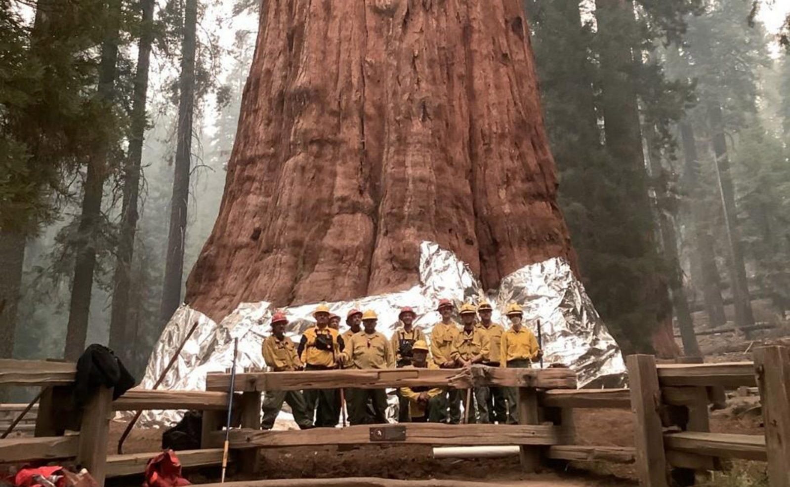 epa09474401 A handout photo made available by the National Park Service shows firefighters posing next to The General Sherman Tree after wrapping it in fire-resistant structural wrap amid the KNP Complex Fire within the Sequoia National Forest near Three Rivers, California, USA, 17 September 2021. The KNP Complex Fire, comprising the Colony and Paradise Fires, has already scorched more than 4,600 hectares and is threatening the giant sequoia known as General Sherman, the biggest tree in the world.  EPA/National Park Service HANDOUT  HANDOUT EDITORIAL USE ONLY/NO SALES