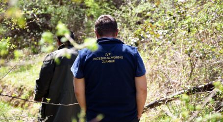 Jezivo otkriće u Puli: U šumi pronađeno mrtvo tijelo, policija pokušava otkriti identitet