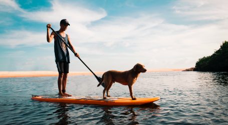 Pogledajte kako je bilo na tradicionalnom surfingu pasa u Kaliforniji