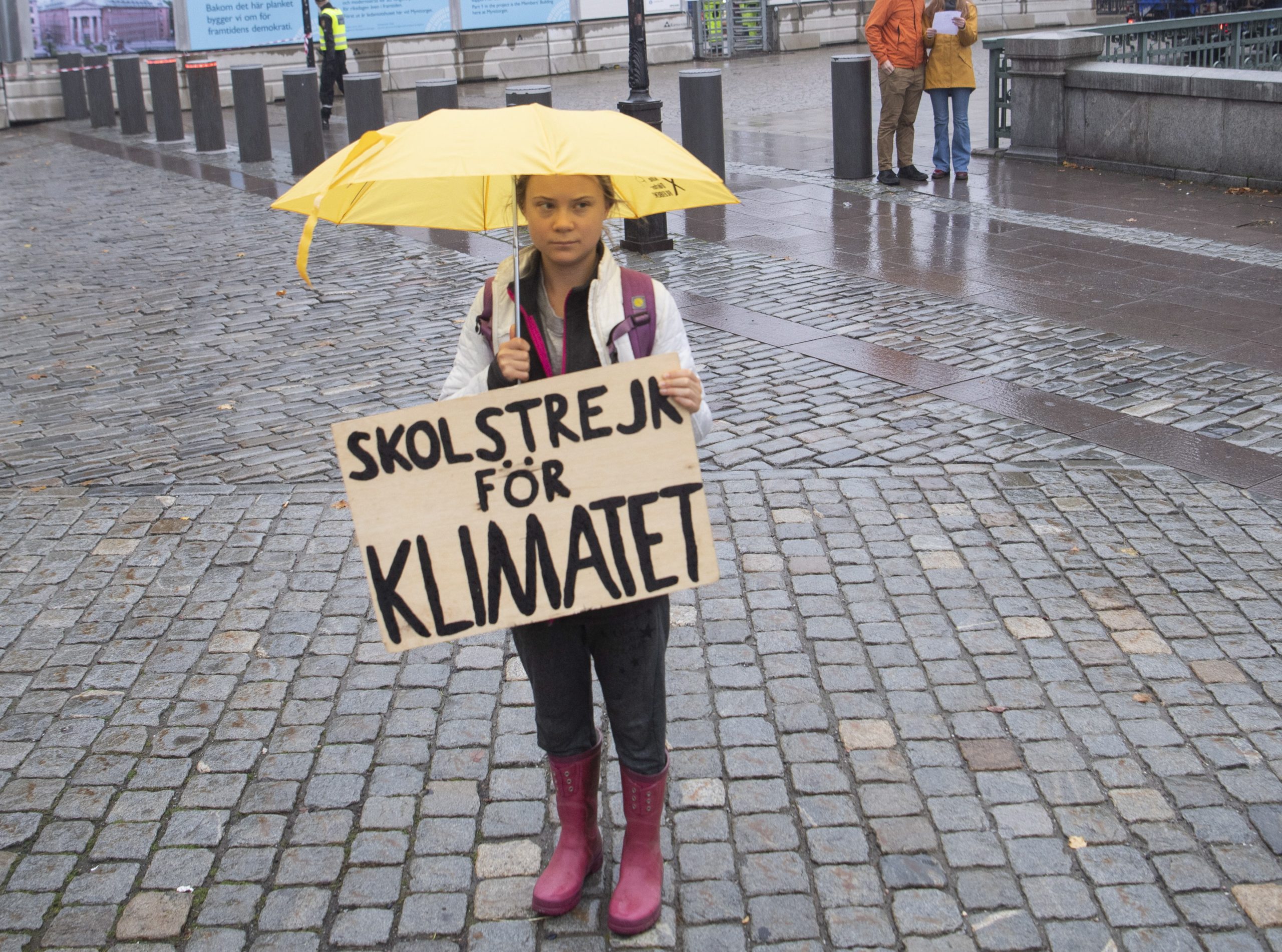 epa09524757 Swedish climate activist Greta Thunberg from the Fridays for Future climate movement protests at the Swedish Parliament Riksdagen in Stockholm, Seden, 10 October 2021. The poster reads 'School strike for Climate'.  EPA/Fredrik Sandberg  SWEDEN OUT