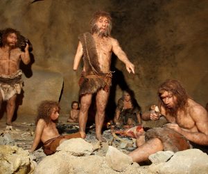 23.02.2010., Krapina - Uredjenje i zavrsne pripreme za otvorenje Muzeja krapinskog neandertalca. 
Photo: Boris Scitar/PIXSELL
