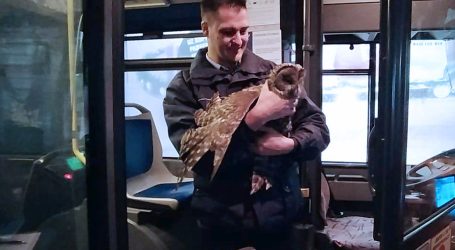 Tako se vole životinje! Vozač ZET-ova autobusa spasio sovu sa slomljenim krilom