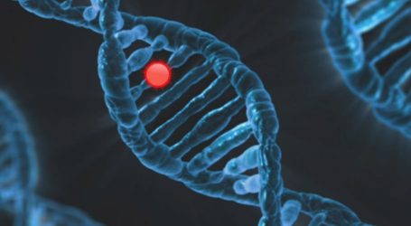 Britanski znanstvenici otkrili gen koji udvostručuje rizik od smrti od covida-19