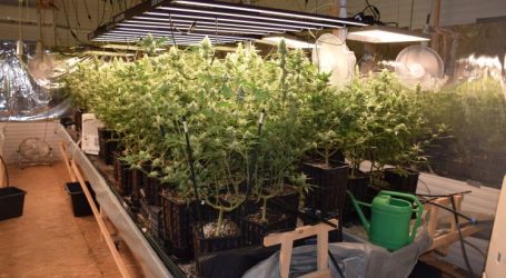 Otkrivena dva improvizirana laboratorija za uzgoj marihuane i oružje u Velikoj Gorici
