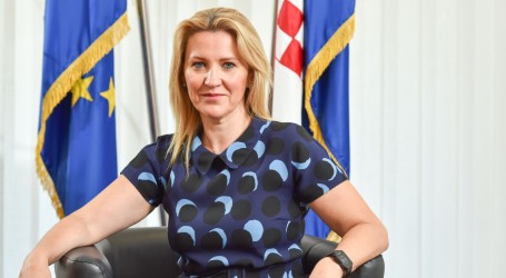 NATAŠA NOVAKOVIĆ 2019.: ‘Premijeru Plenkoviću bilo bi iznimno korisno da zna kakvim se ljudima okružio’