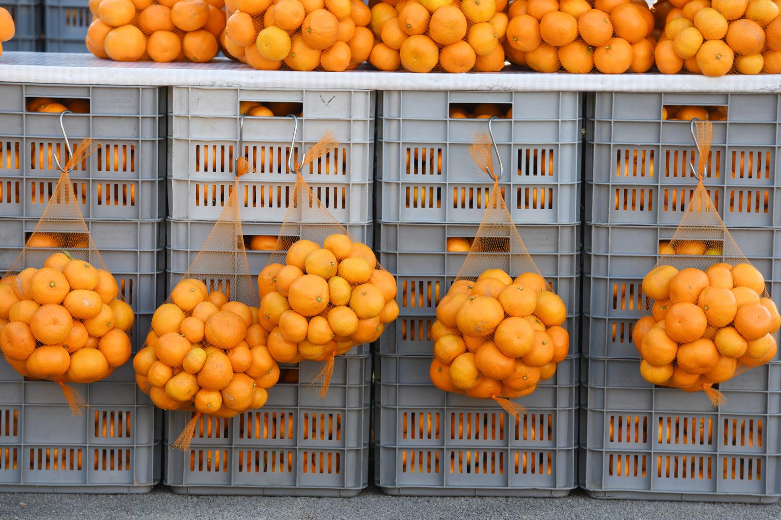 10.11.2020., Sibenik - Proizvodjaci iz doline Neretve na sve vise lokacija po Dalmaciji dovoze i prodaju svoje svjeze agrume. U ponudi su mandarine, klementine i limun.
Photo: Hrvoje Jelavic/PIXSELL